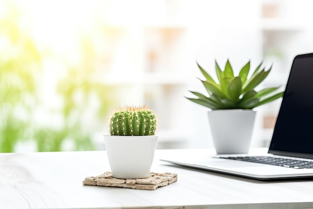 Cactus parodia leninghausii en taza roja con fondo blanco texto libre y espacio de copia