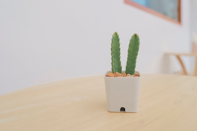 Cactus en pequeñas macetas blancas colocadas sobre un espacio de copia de mesa de madera