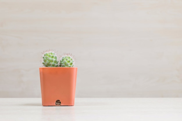 El cactus del primer en pote plástico marrón en el escritorio de madera borroso y la pared de madera texturizaron el fondo