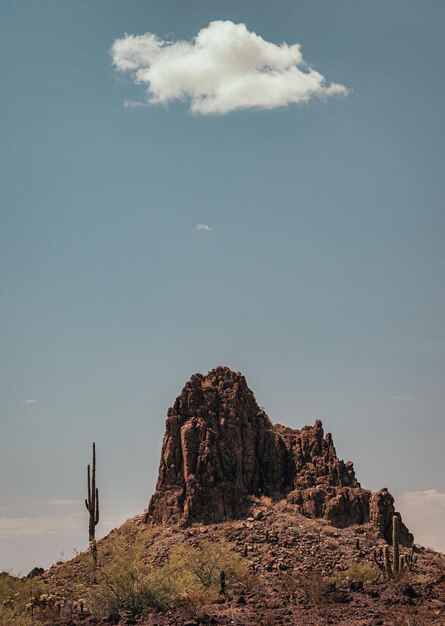 Foto cactus saguaro en arizona junto a la montaña con cielo azul y nube blanca