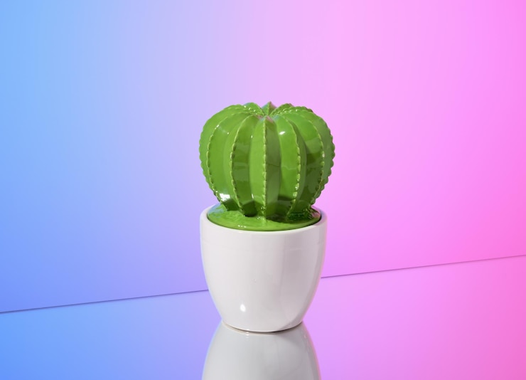 Foto cactus verde interior estatueta elegante ideia de presente