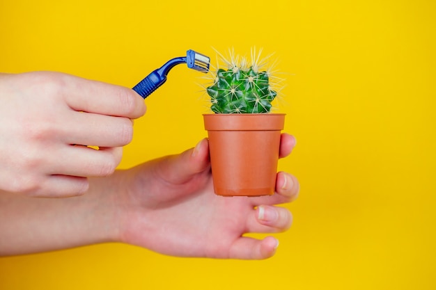 Cactus verde en una olla marrón y una navaja sobre un fondo amarillo. el concepto de depilación, depilación y eliminación del vello corporal no deseado