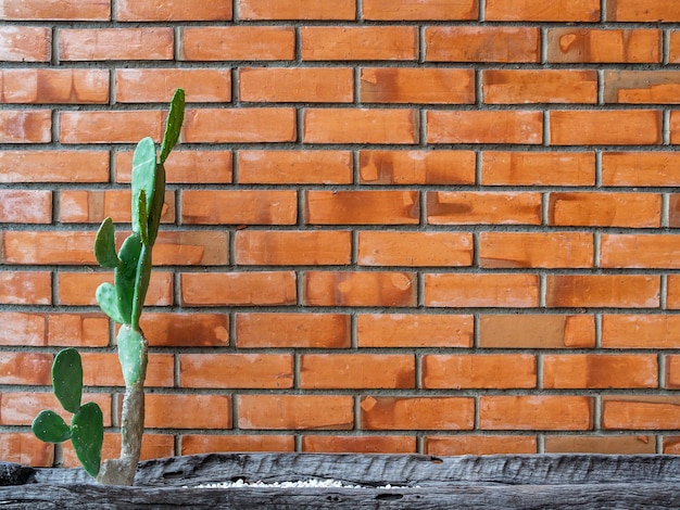 Cactus verde en sembradora de troncos de madera con grava blanca sobre fondo de pared de ladrillo