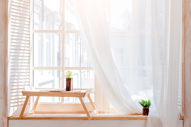 Cactus verde, suculentas en el alféizar de la mesa de madera con luz suave