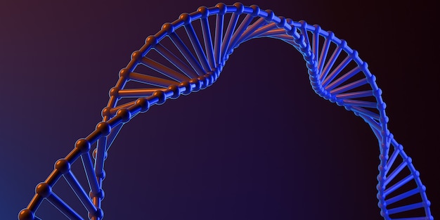 Cadeia de DNA azul e laranja. Sequência de molécula abstrata. Fundo. Bandeira. Ilustração 3D.