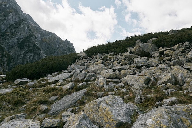 Cadeia de montanhas e camadas de montanhas verdes em Zakopane, Polônia