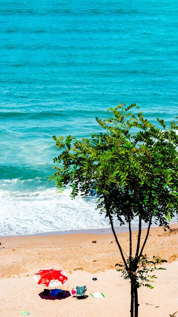 Cadeira de acampamento com guarda-chuva vermelho na praia com luz do meio-dia do mar azul no Mar Negro, Turquia