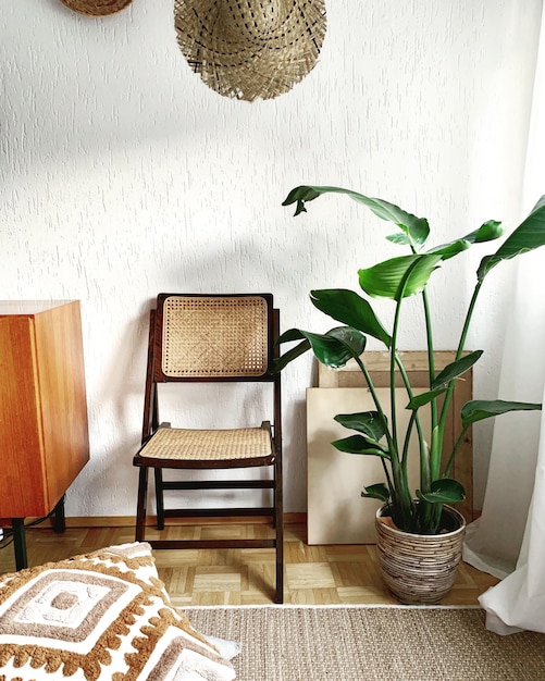 Cadeira vazia por planta em vaso em casa