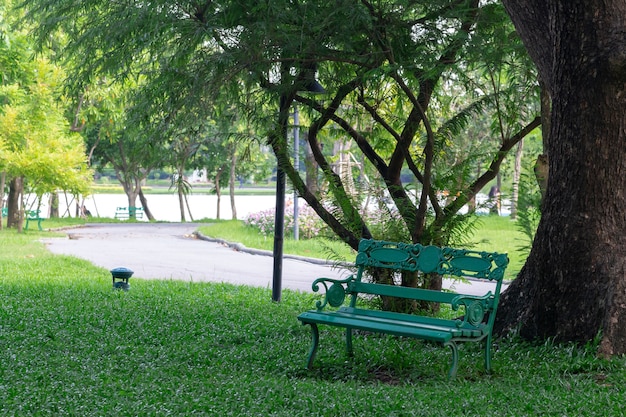 Foto cadeira verde no jardim sob a árvore.