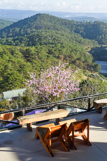 Cadeiras de madeira sem árvore de sakura de pessoas nas montanhas de Da Lat no Vietnã