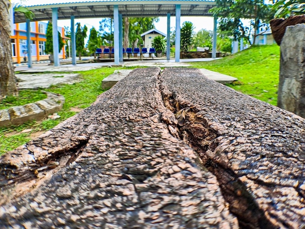 Cadeiras e mesas feitas de peças de madeira no jardim do hospital