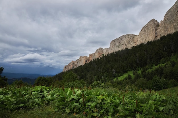 Cadena montañosa de Big Thach Paisaje de verano Montaña con pico rocoso Rusia República de Adygea Parque Natural Big Thach Cáucaso