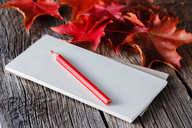 Caderno aberto e caneta no outono ambiente