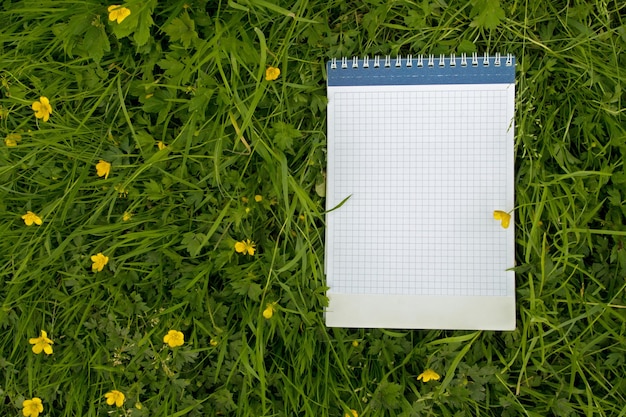 Caderno com capa de mola principal com folhas de gaiola no fundo de folhas verdes e flores amarelas