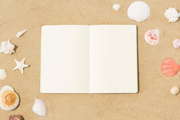 caderno com conchas na areia da praia