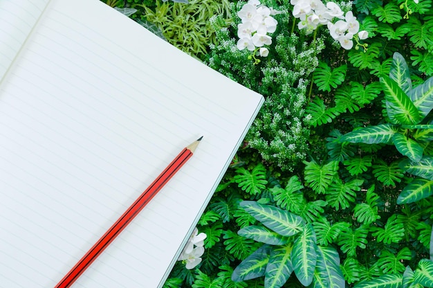 Caderno com lápis isolado no fundo da natureza da planta verde para fundo de educação artística