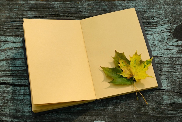 Caderno de livro aberto diário de duas folhas de maple queda mesa de madeira ao ar livre folhas caídas fundo de outono