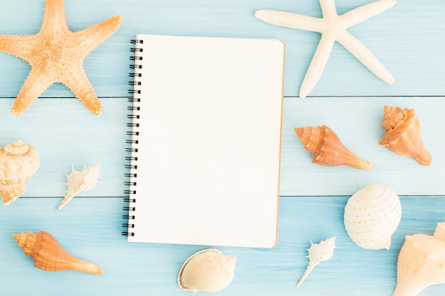 Caderno e conchas do mar vazios no assoalho de madeira azul.