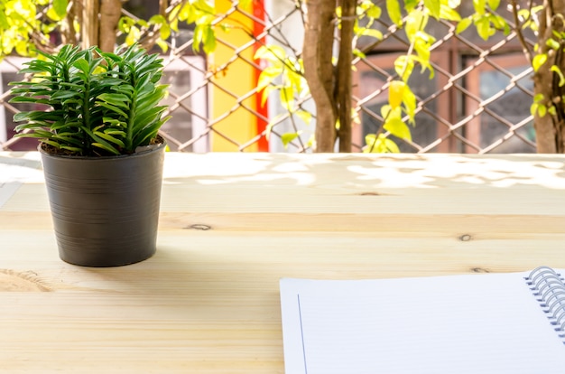 Foto caderno e pequena árvore na mesa de madeira: negócios e educação