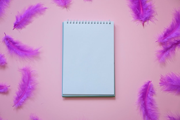 Foto caderno em branco e penas roxas