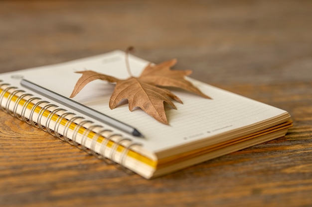 Caderno, lápis e folha