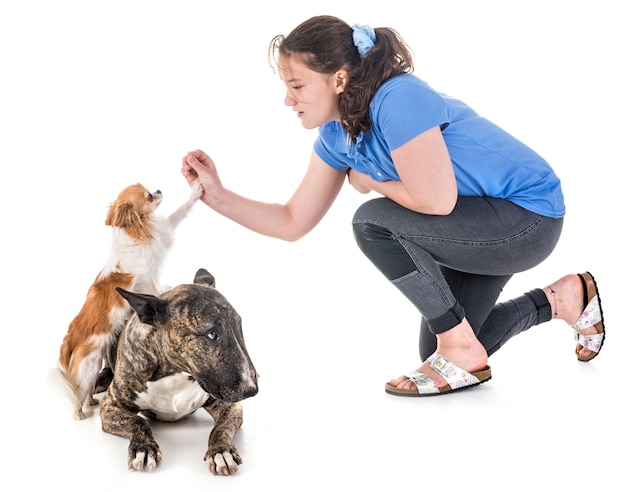 Cães, dono e obediência