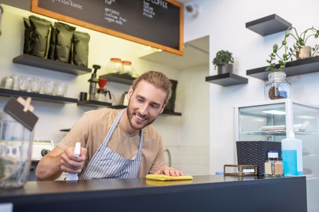 Cafe, Bartheke. Lächelnder junger bärtiger Mann in der gestreiften Schürze, die sanft Oberfläche der Bar in kleinem Café abwischt