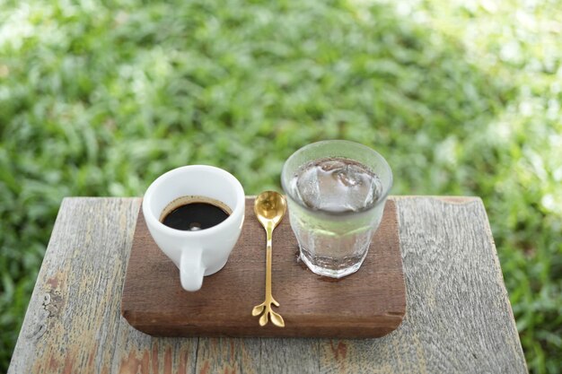 Café caliente y vaso de hielo en bandeja de madera con maceta