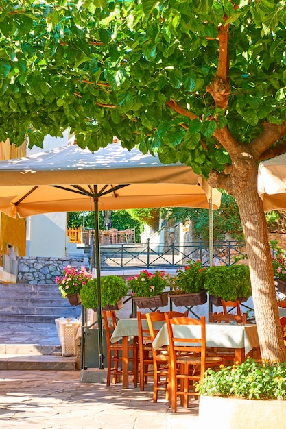 Café de la calle con mesas a la sombra de los árboles en el distrito de Plaka en Atenas, Grecia