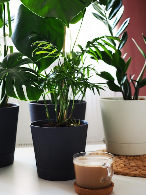 Foto café cappuccino em mesa de madeira decorada com folhas de monstera