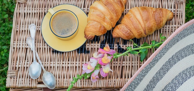 Café da manhã na grama Xícara de café e croissants franceses