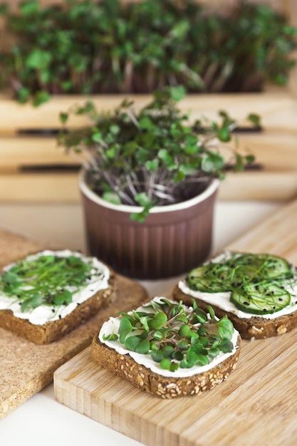 Café da manhã saudável com microgreens germinados caseiros em pão fresco torrado e queijo.