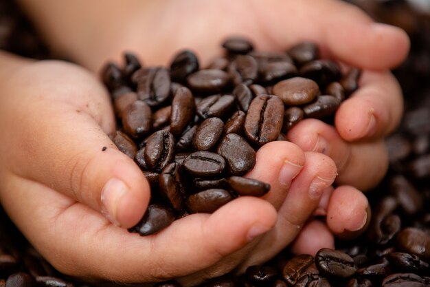 Café em grão na mesa direto da fazenda lindo e cheiroso