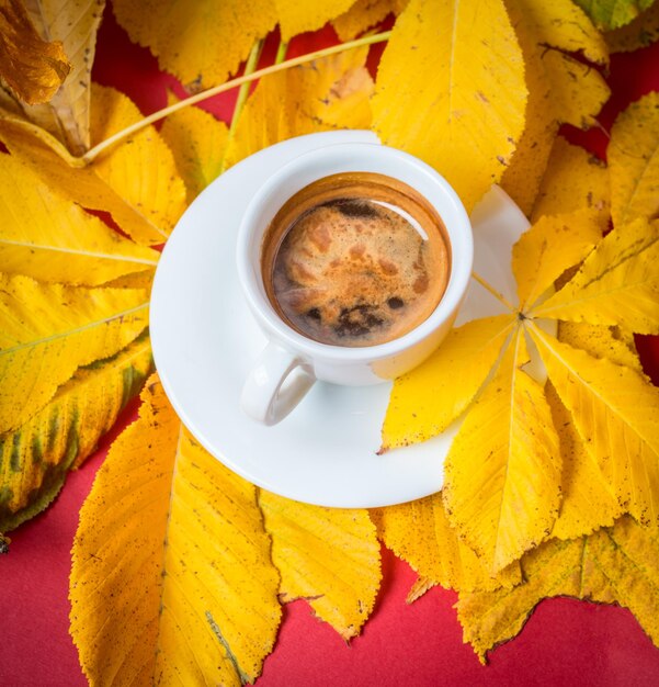 Café Espresso Taza de café con hojas amarillas de otoño