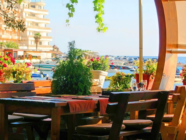 Café interior na costa uma mesa de madeira vazia e cadeiras decoradas com plantas A varanda do café à beira-mar