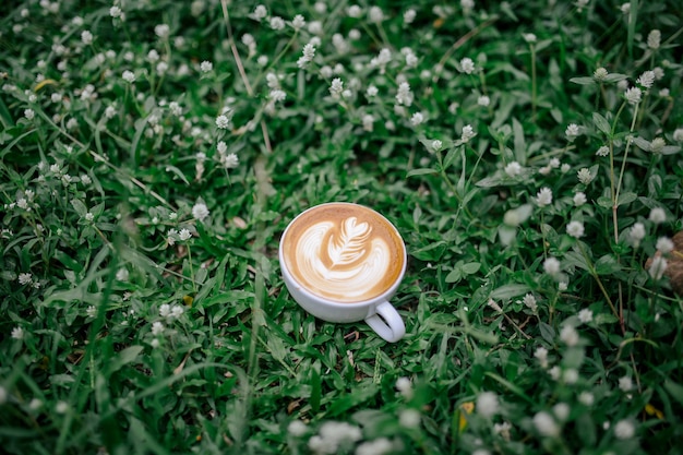 Café en el jardín