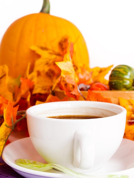 Café de la mañana en taza blanca en la mañana de otoño.