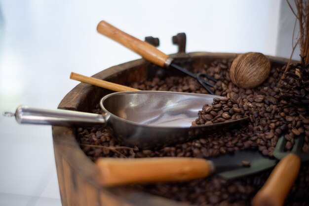 Café negro Granos de café tostados y café molido en cucharas de madera y palitos de canela