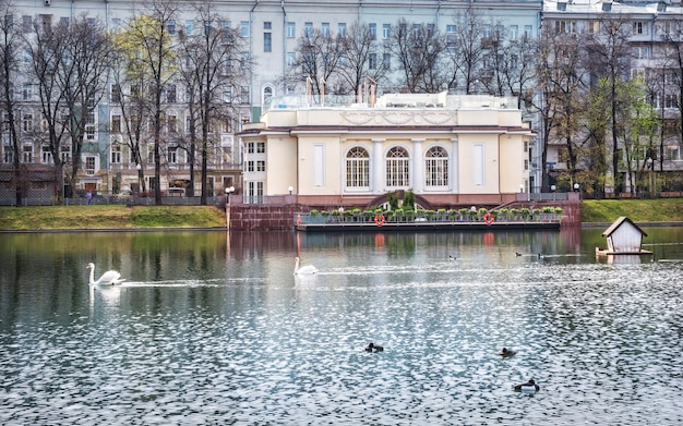 Café-Pavillon und Schwäne an den Teichen des Patriarchen in Moskau