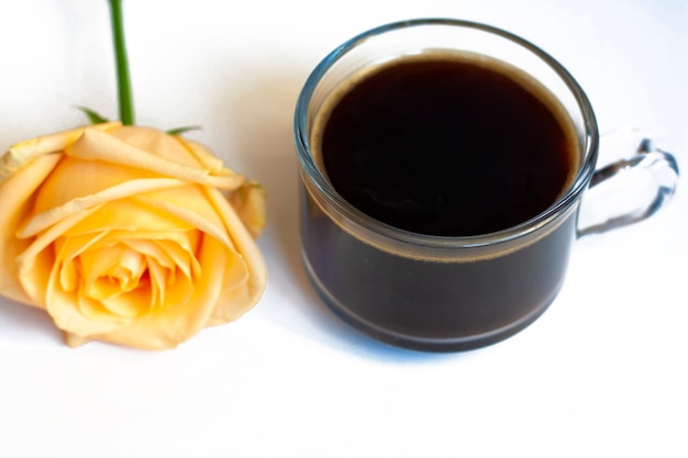 Café quente e uma rosa amarela em um fundo branco