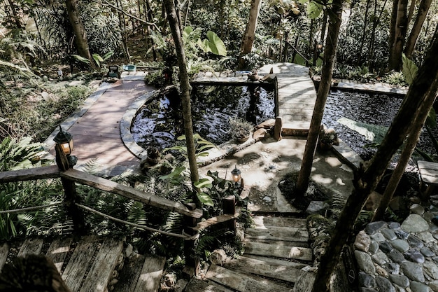 cafetería lugar de descanso de la naturaleza