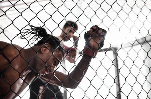 Foto cage knockout y hombres en la lucha por kickboxing competencia desafío y aptitud para deportes en el gimnasio combate de boxeo fuerte luchador y artes marciales mixtas ejercicio práctica o poder en la batalla juntos