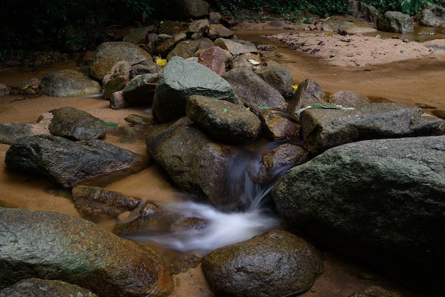 La caída de agua en el bosque con la luz del sol