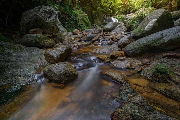 La caída de agua en el bosque con la luz del sol