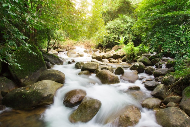 Caída de agua