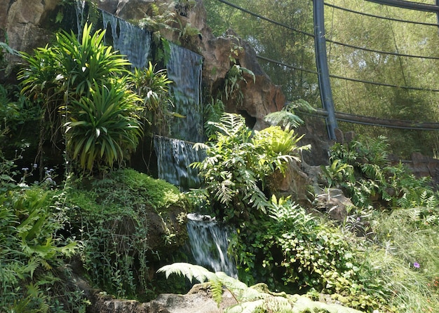 Caída de água artificial em um grande jardim botânico dentro da cúpula do aviário