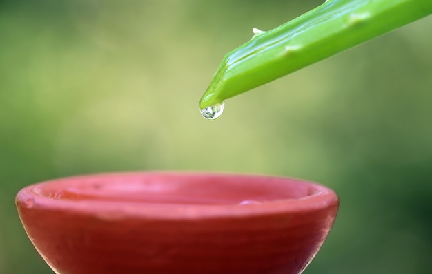 Caída de extracto de aloe vera en olla de barro con enfoque selectivo