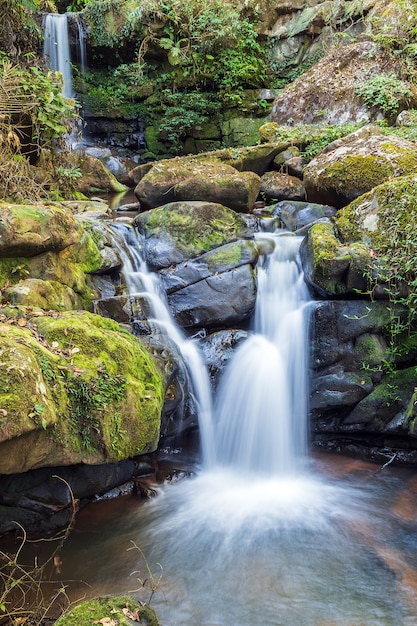 Caída hermosa del agua con el fondo de la naturaleza.