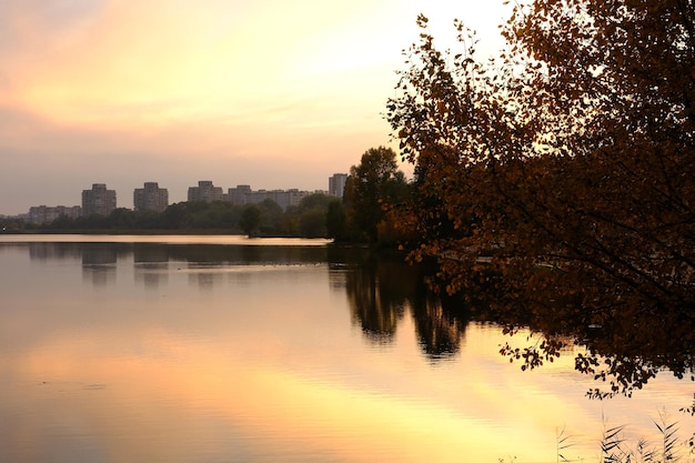 Caída de otoño en el parque con árboles de hojas amarillas y lago de la ciudad de Sumy Cheha