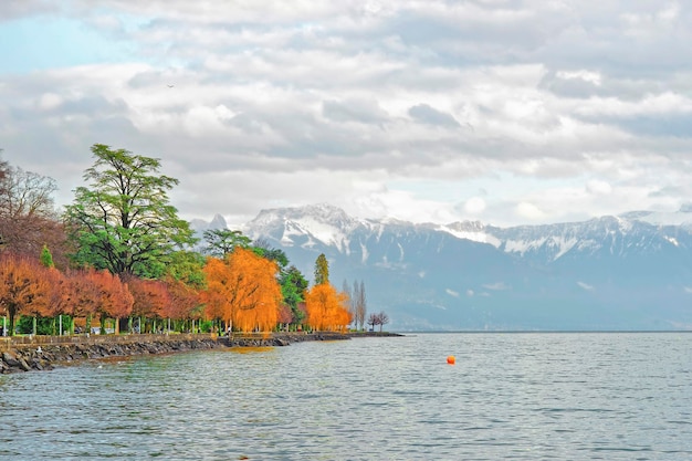 Cais de Lausanne do Lago de Genebra com árvores coloridas no inverno Ouchy na Suíça. Lausanne é uma cidade na Suíça. Ouchy é um porto e popular estância à beira do lago em Lausanne.